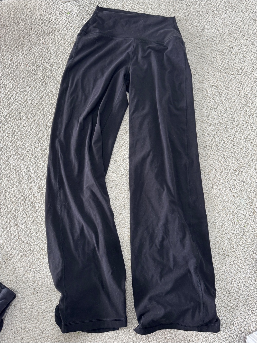 Aritzia Wide Leg Pants in Black
